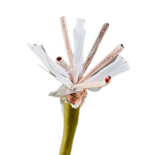 腾博汇游戏官网 - 诚信为本,专业服务!