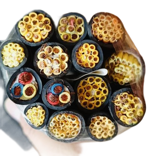 �ڲ�����Ϸ���� - ����Ϊ��,רҵ����!