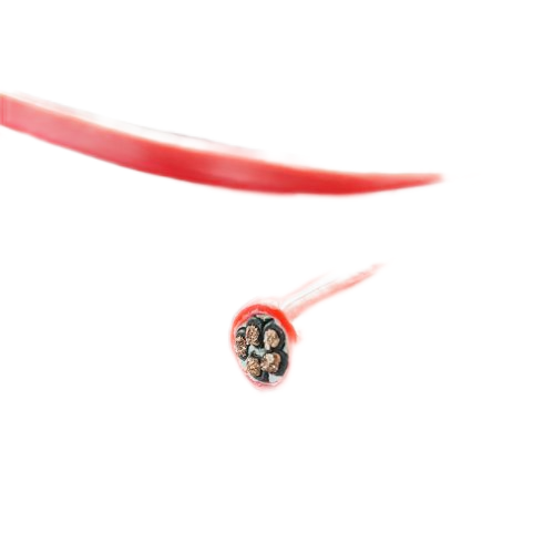 腾博汇游戏官网 - 诚信为本,专业服务!