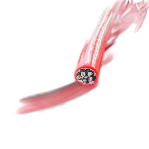 �ڲ�����Ϸ���� - ����Ϊ��,רҵ����!