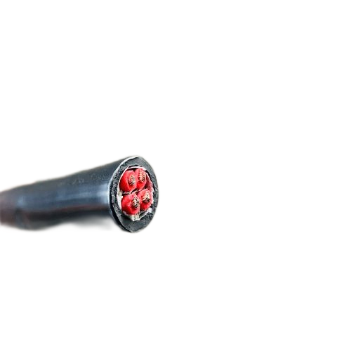 腾博汇游戏官网 - 诚信为本,专业服务!