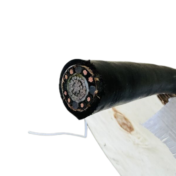 腾博汇游戏官网 - 诚信为本,专业服务!