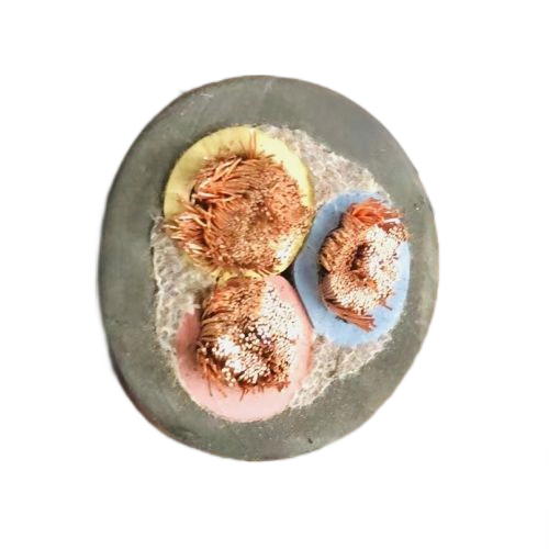 腾博汇游戏官网 - 诚信为本,专业服务!