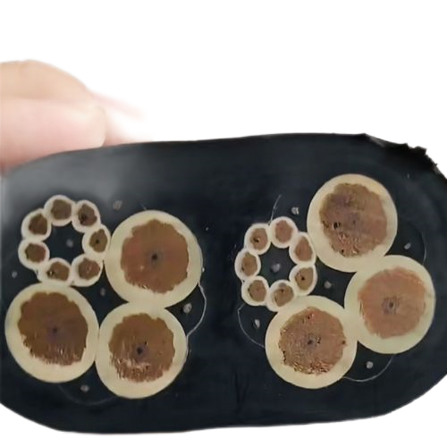 腾博汇游戏官网 - 诚信为本,专业服务!