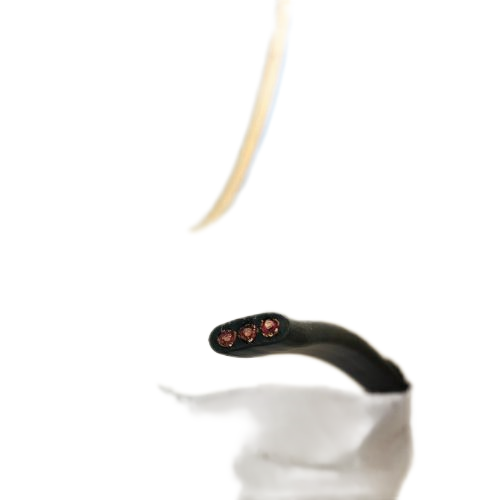 腾博汇游戏官网 - 诚信为本,专业服务!