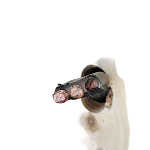 腾博汇游戏官网 - 诚信为本,专业服务!