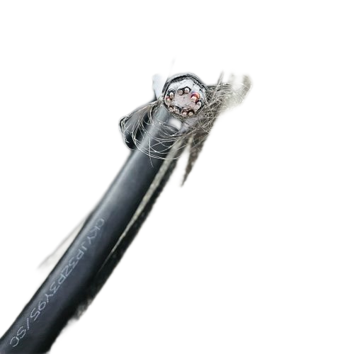 腾博汇游戏官网 - 诚信为本,专业服务!