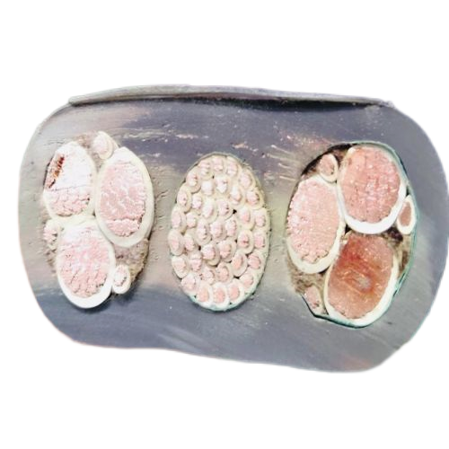 �ڲ�����Ϸ���� - ����Ϊ��,רҵ����!