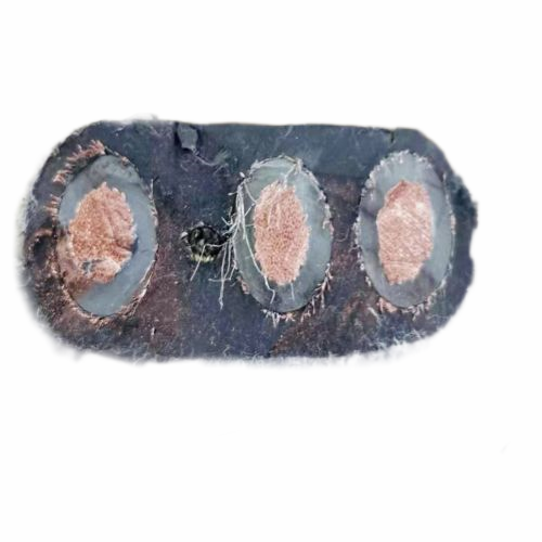 �ڲ�����Ϸ���� - ����Ϊ��,רҵ����!