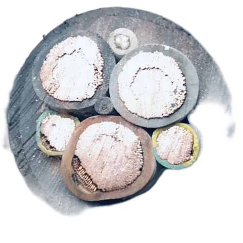 腾博汇游戏官网 - 诚信为本,专业服务!