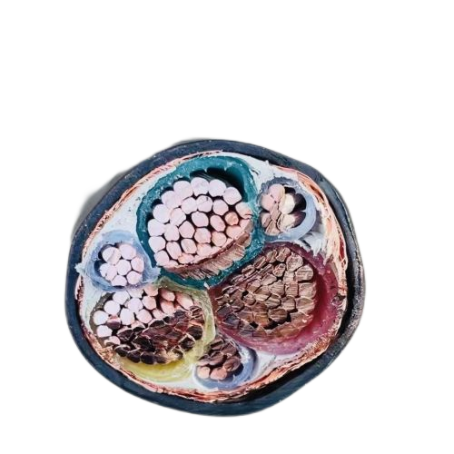 腾博汇游戏官网 - 诚信为本,专业服务!