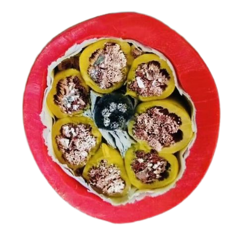 腾博汇游戏官网 - 诚信为本,专业服务!