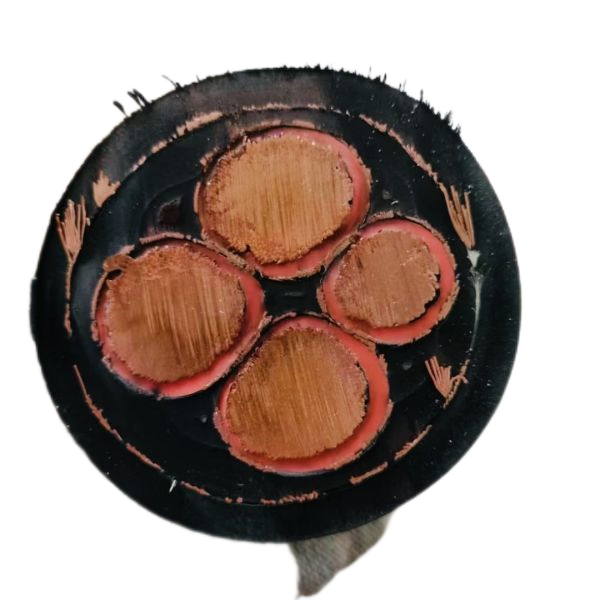 �ڲ�����Ϸ���� - ����Ϊ��,רҵ����!