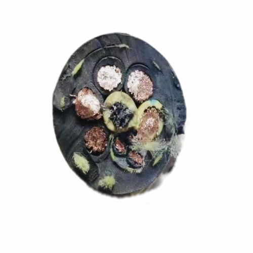 腾博汇游戏官网 - 诚信为本,专业服务!