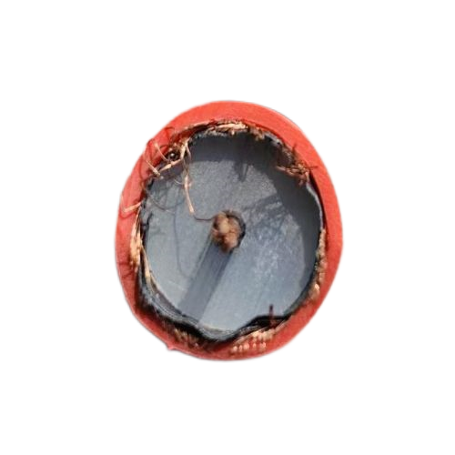 �ڲ�����Ϸ���� - ����Ϊ��,רҵ����!