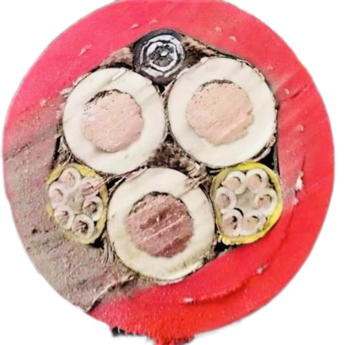 �ڲ�����Ϸ���� - ����Ϊ��,רҵ����!