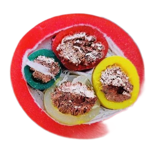 腾博汇游戏官网 - 诚信为本,专业服务!