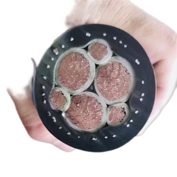 腾博汇游戏官网 - 诚信为本,专业服务!