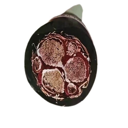 腾博汇游戏官网 - 诚信为本,专业服务!