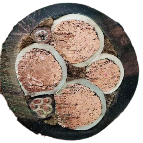 腾博汇游戏官网 - 诚信为本,专业服务!