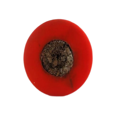 �ڲ�����Ϸ���� - ����Ϊ��,רҵ����!